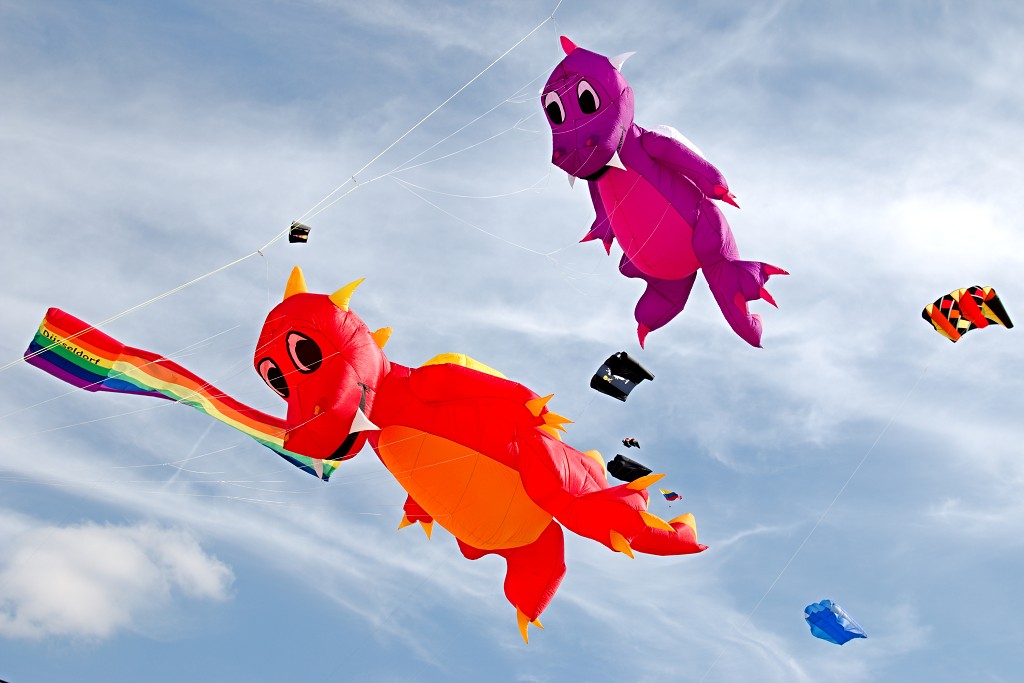 Cerfs-Volants vliegerfestival festival festiviteit evenement event berck sur mer vlieger speelgoed strand